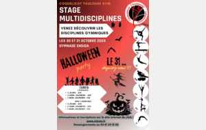 Ouverture des inscriptions du Stage Loisir  Multi activités  : mercredi 30 octobre et jeudi 31 octobre 2024 - ENSICA