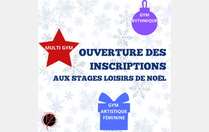 Stages loisirs des vacances de Noël 2025